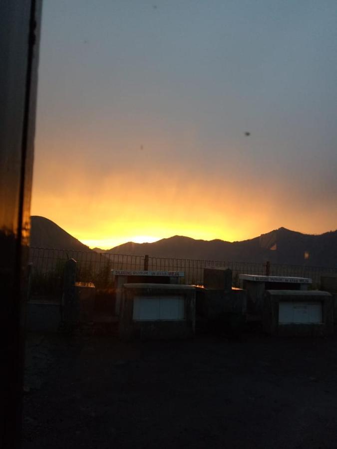 Cemara Indah Bromo